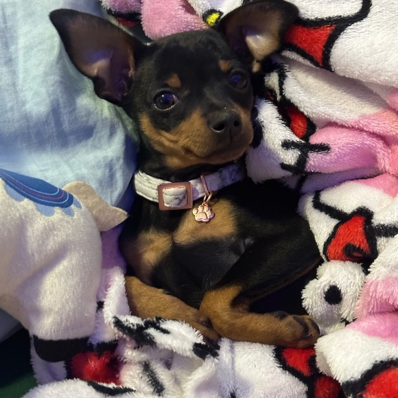 Meet your Posher, Pati - Picture 9 of 9